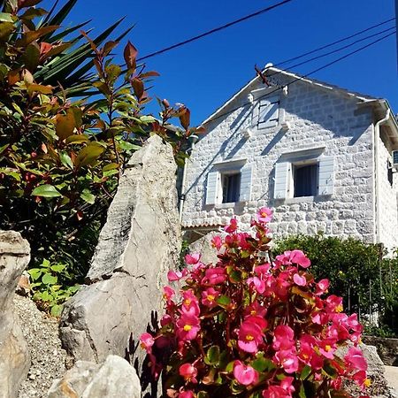קוטור Old Stone Villa Lalosevic מראה חיצוני תמונה