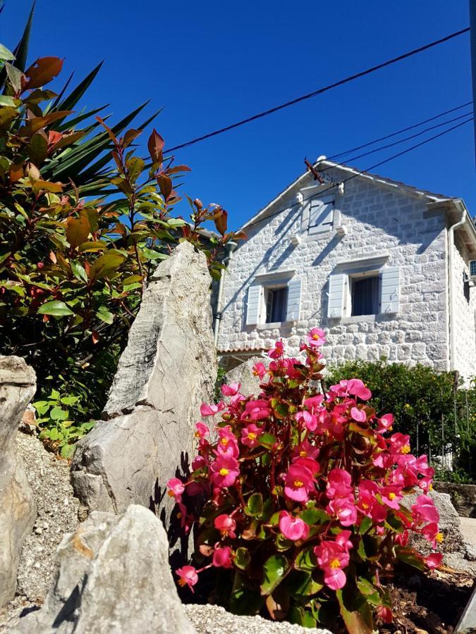 קוטור Old Stone Villa Lalosevic מראה חיצוני תמונה